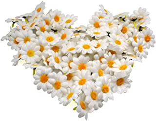 FIORI MARGHERITE BIANCHE RAMETTO DA 12 PZ