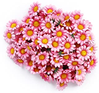 FIORI MARGHERITE ROSA RAMETTO DA 12 PZ