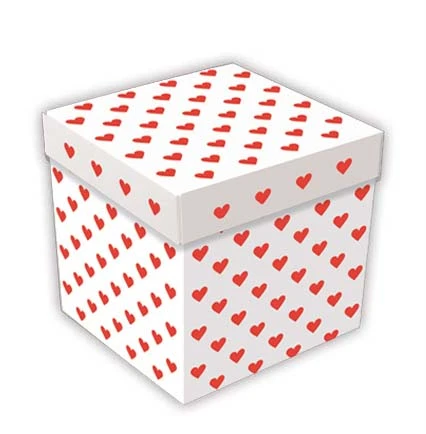 BN500 BIG BOX BIANCA con CUORICINI