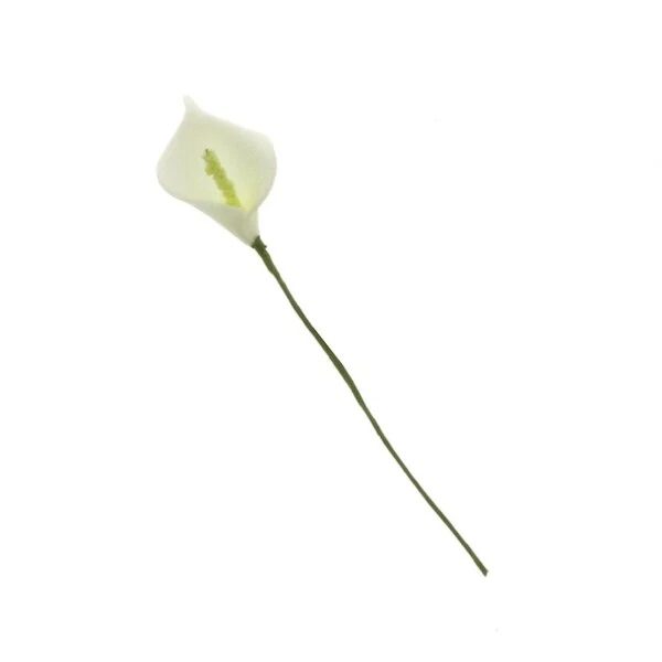 FIORI CALLAM PICCOLA 12 PZ