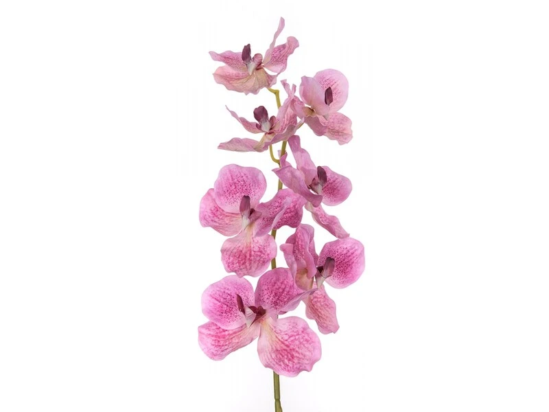FIORE ORCHIDEA VANDA 100 CM