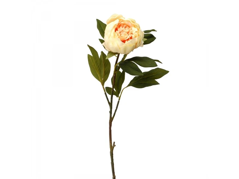 FIORE PEONIA 80 CM