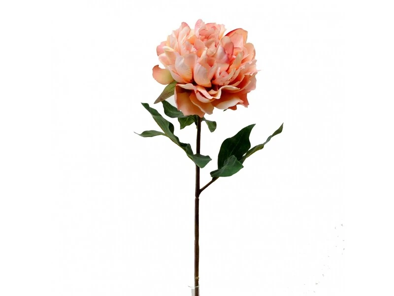 FIORE PEONIA DUSTY 50 CM