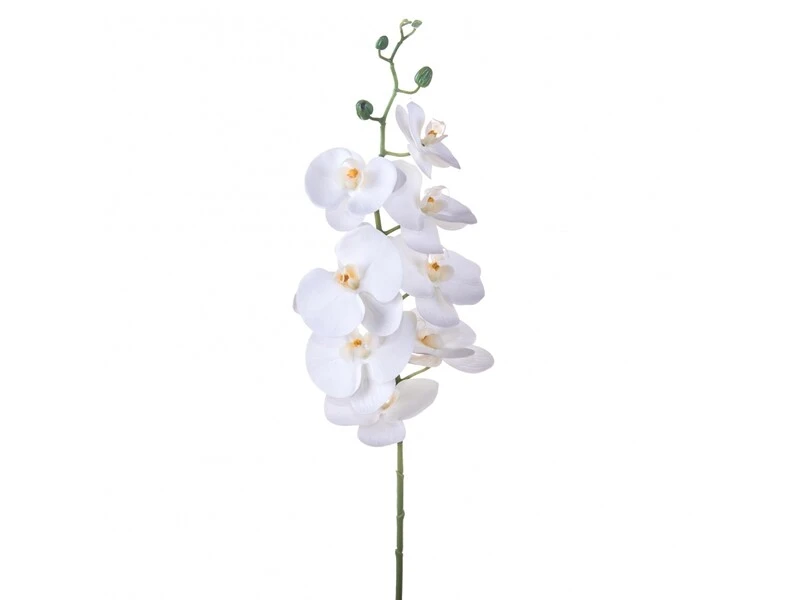 FIORE PHALAENOPSIS X 8 103 CM