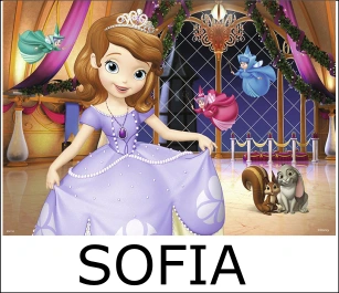 tema principessa sofia