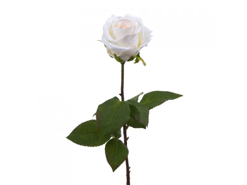 FIORE ROSA ROMAN. 64 CM