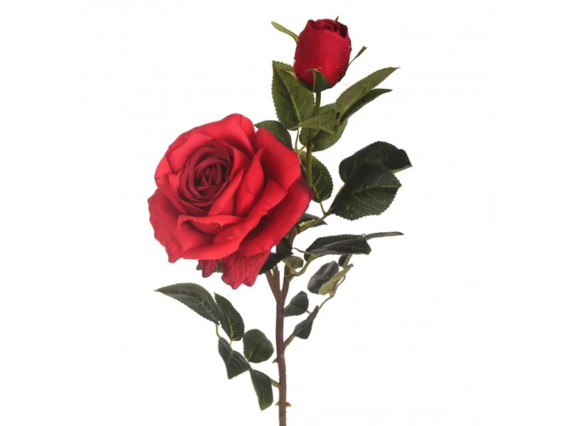 FIORE ROSA X 2PZ 64 CM