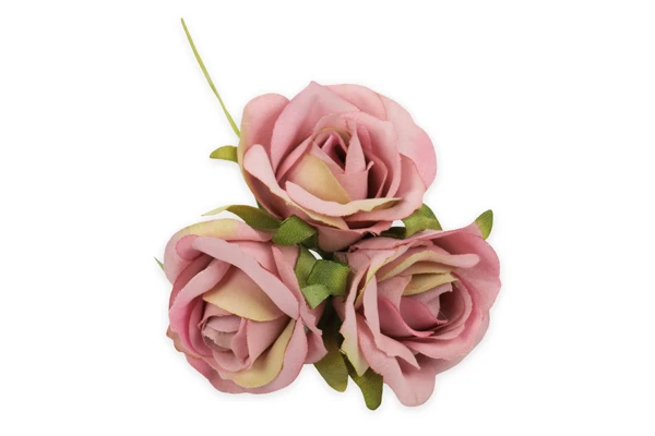 FIORI ROSELLINA ROSA CIPRIA 12 PZ