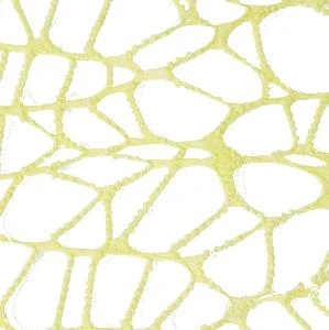 RETE XL PER BOMBONIERE 25 X25 CM VERDE 20 PZ