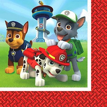 TOVAGLIOLO PAW PATROL 33 CM  20 PZ