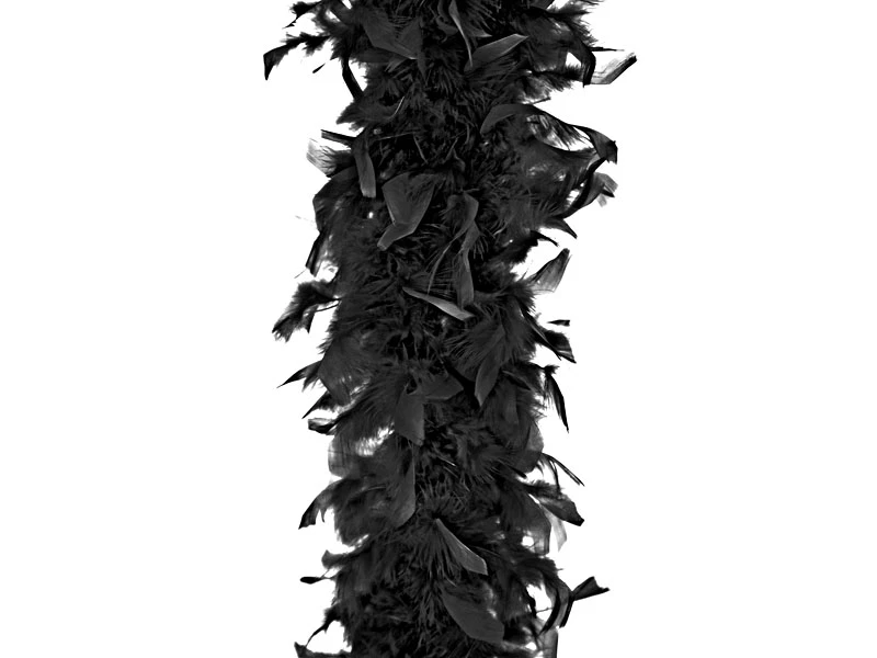 CARNEVALE boa nero