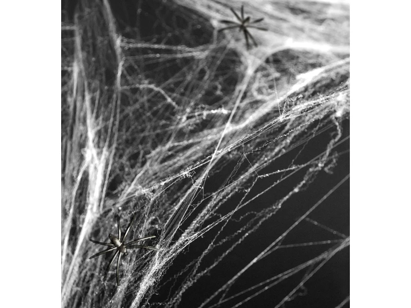 HALLOWEEN ragnatela bianca