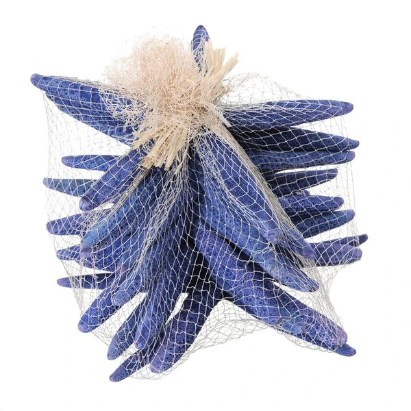 OGGETTISTICA MARE stella marina blu 