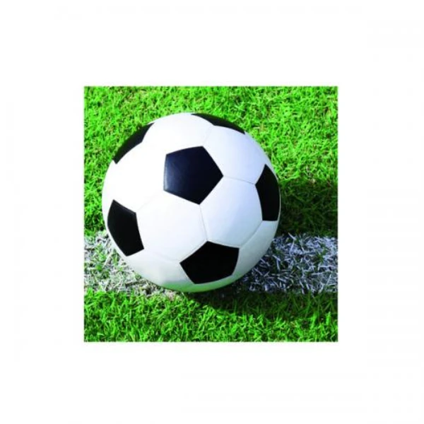 TOVAGLIOLO CALCIO 33 CM