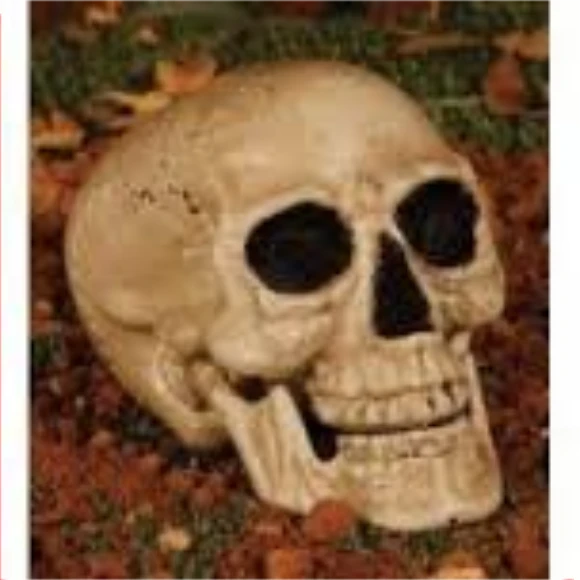 19752 HALLOWEEN