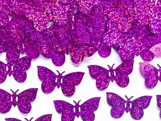 CORIANDOLI A FORMA DI FARFALLA FUCSIA 15 GR 1 PZ
