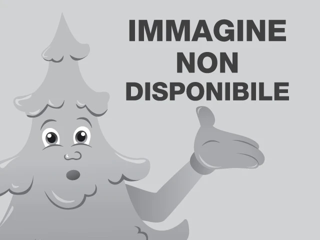 "NATALE"stella legno cm.30 dec.pigne e rametti cbacche rosse