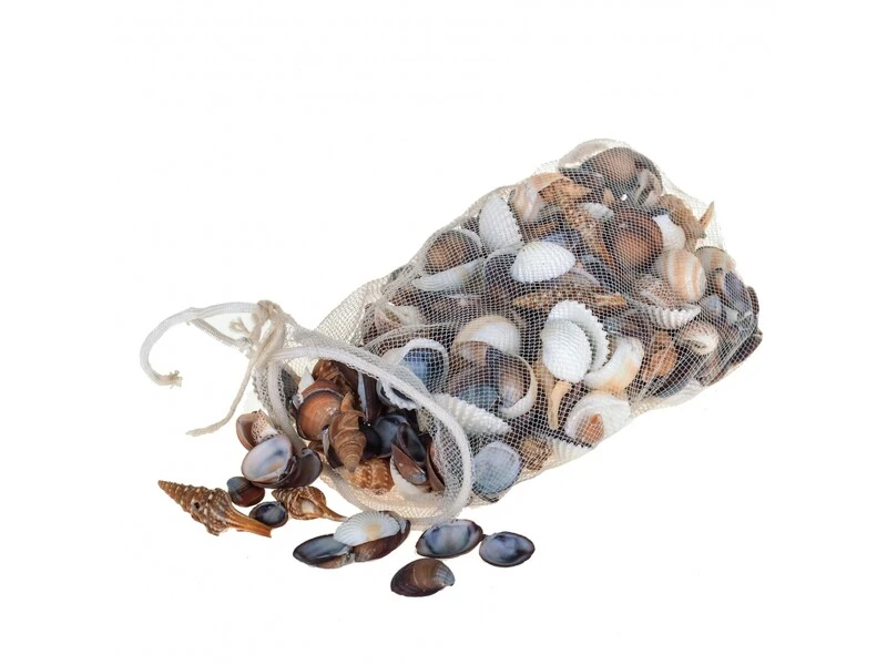 OGGETTISTICA MARE Conchiglie mini
